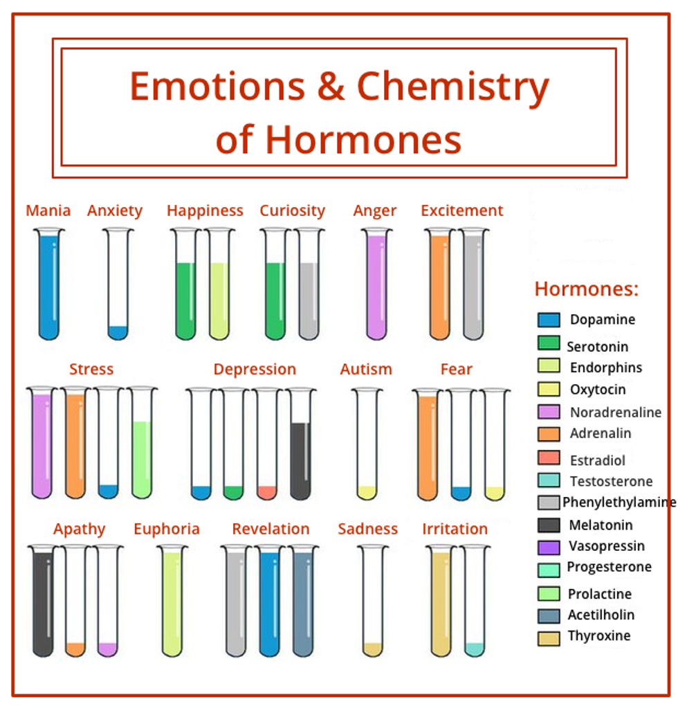 The Science Of Happy