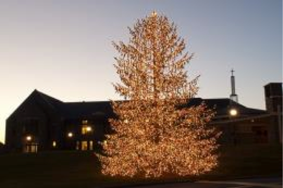 Praying in Front of a Christmas Tree