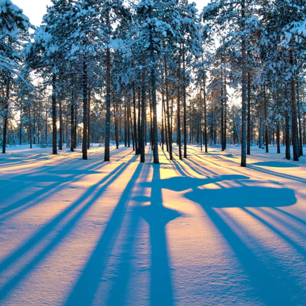 14 Reasons to Love Winter