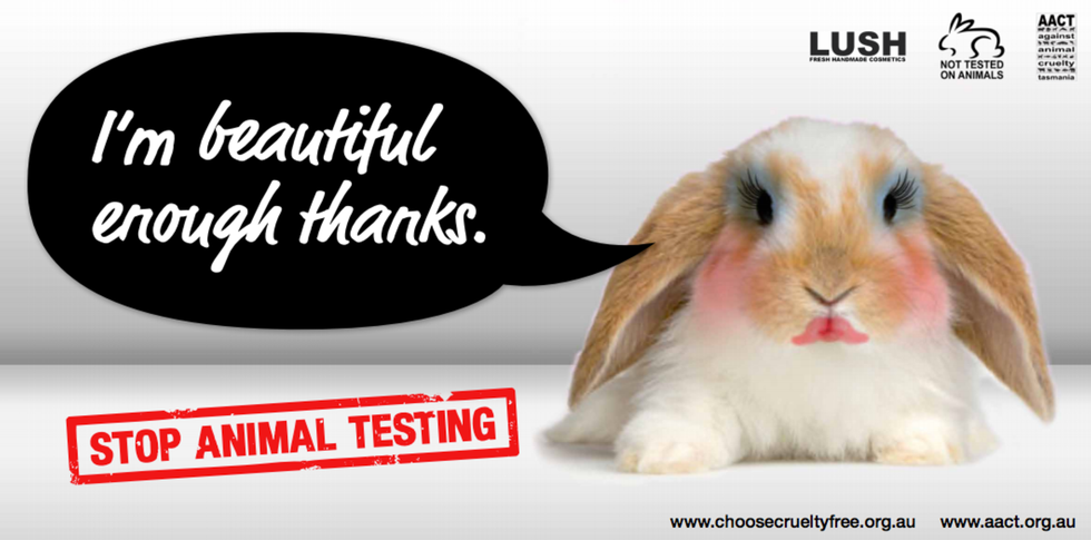 Why Animal Testing Should Be Abolished Worldwide