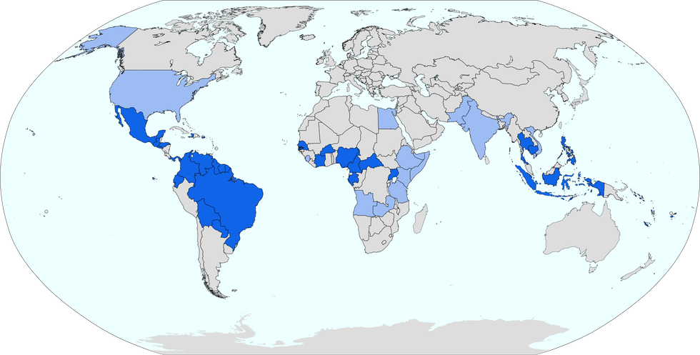 The Current State of the Zika Outbreak