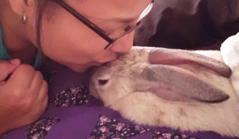 12 Things I Learned From My Therapy Rabbit