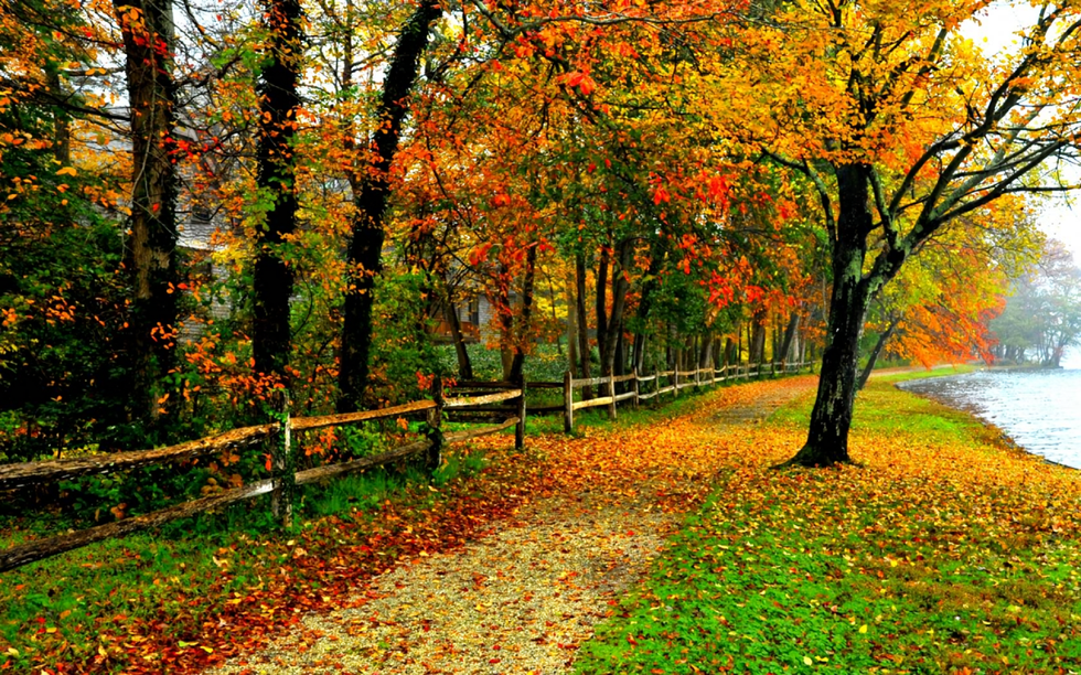 5 Reasons Fall Is The Best Season