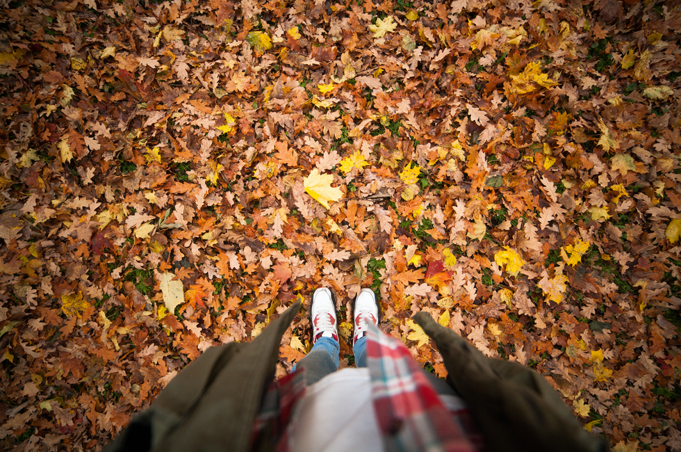 15 Reasons To Look Forward To Fall