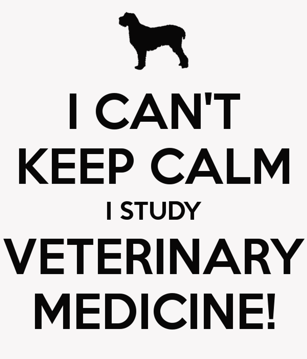 Vet School.. that's all I can say