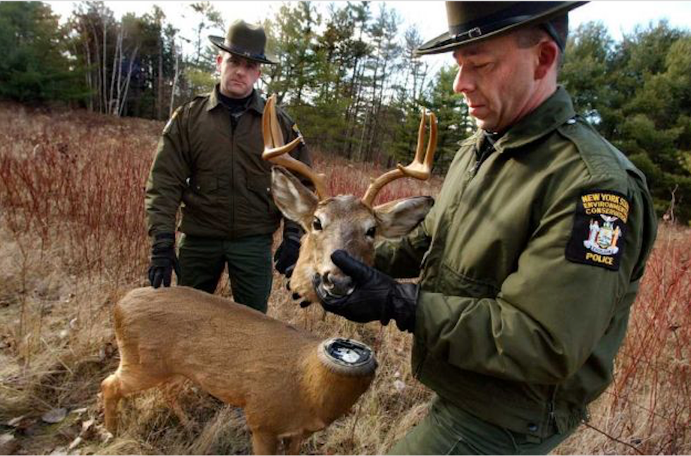 Robo-Animals Are Now Being Used To Fight Poachers