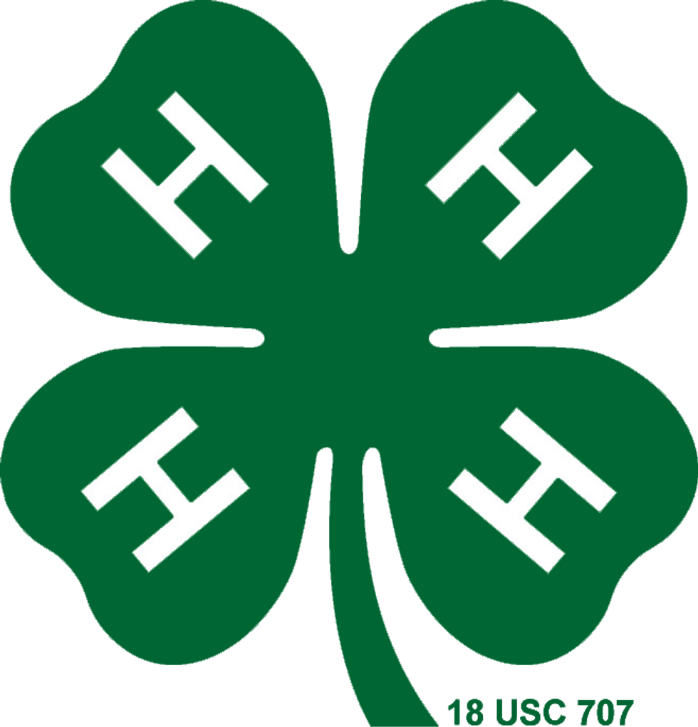 6 Things I Miss And Remember About Georgia 4-H