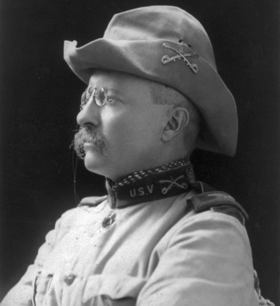 Theodore Roosevelt Was The Coolest American President