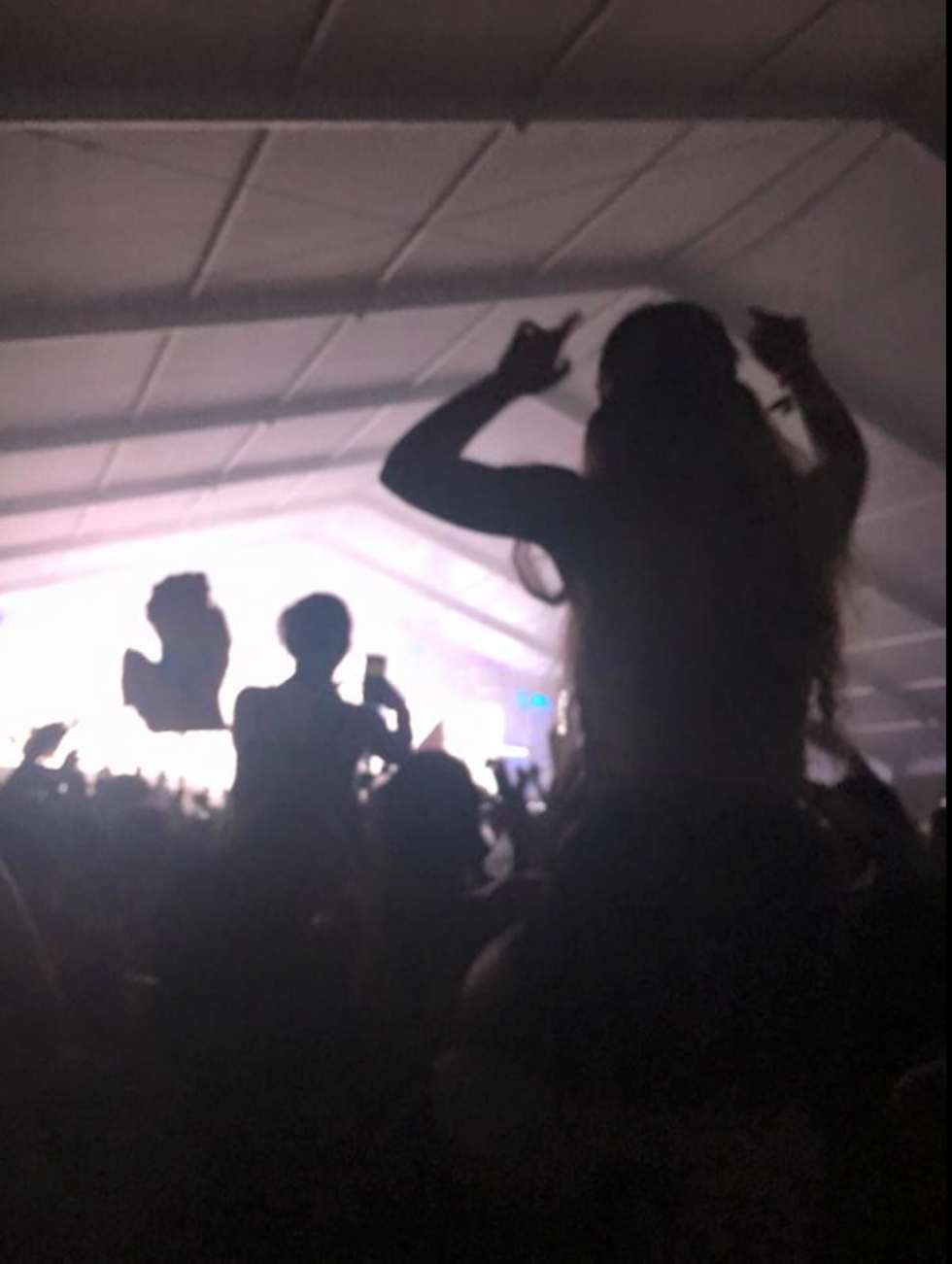 A Reflection On My First Music Festival