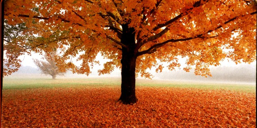 12 Reasons Why Fall Is My Favorite Season