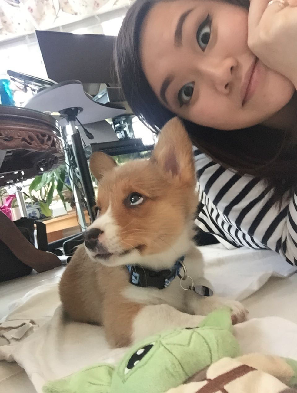 Butters: Instagram's Newest It-Puppy