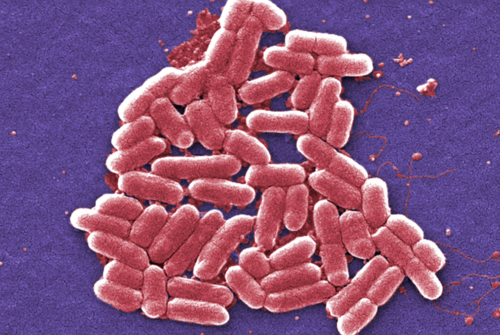 Antibiotics Compromised By Discovery Of Superbug