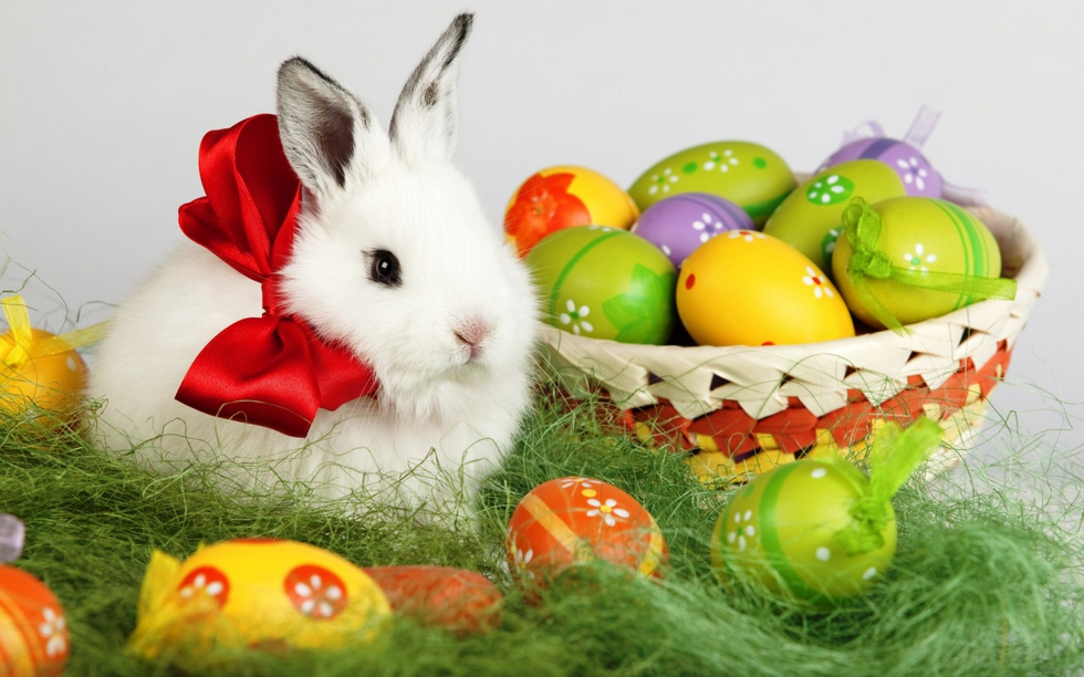 5 Things I Learned From The Easter Bunny