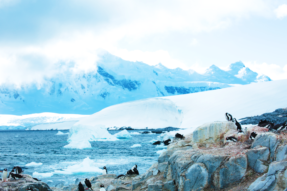 What Visiting The Antarctic Taught Me