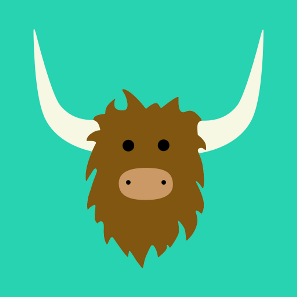 The Evolution of Yik Yak: Southwestern Edition