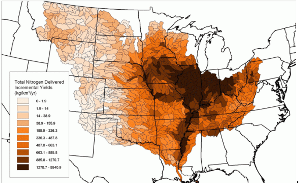 Dead Zone in the Gulf of Mexico