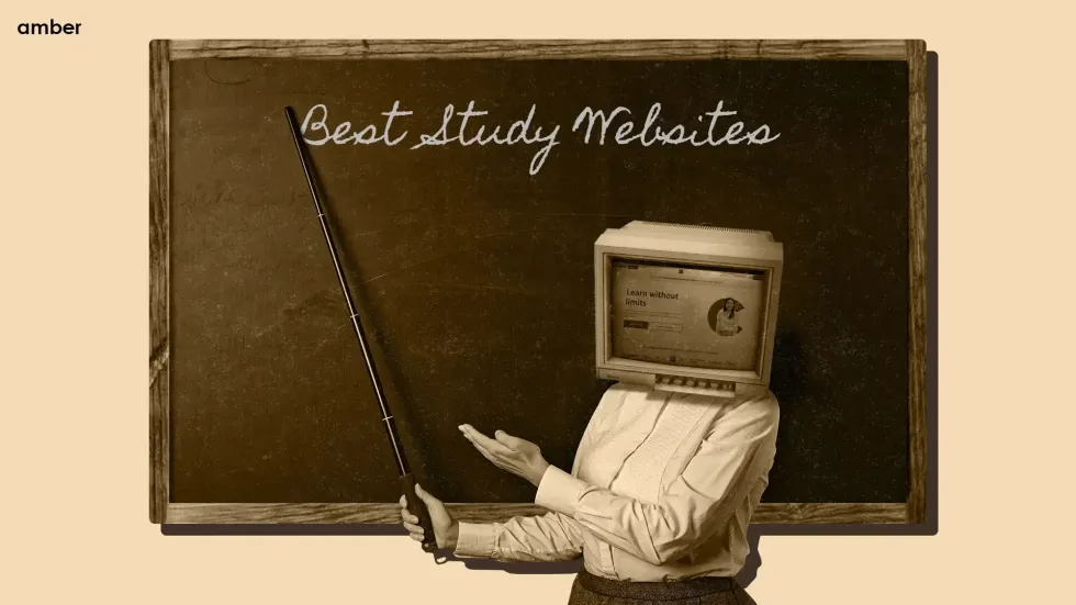 Creating an Effective Study Guide
Website for Students: The Ultimate
Guide