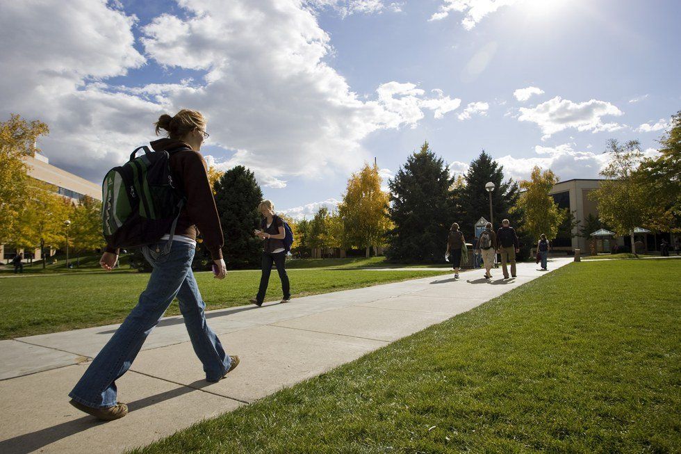 Students walking on a sunny college campus with trees and buildings.