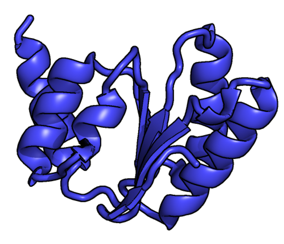 What precisely is a peptide?